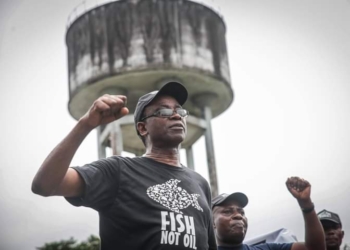 Court restrains Nnimmo Bassey as Chairman of Environmental Rights Action