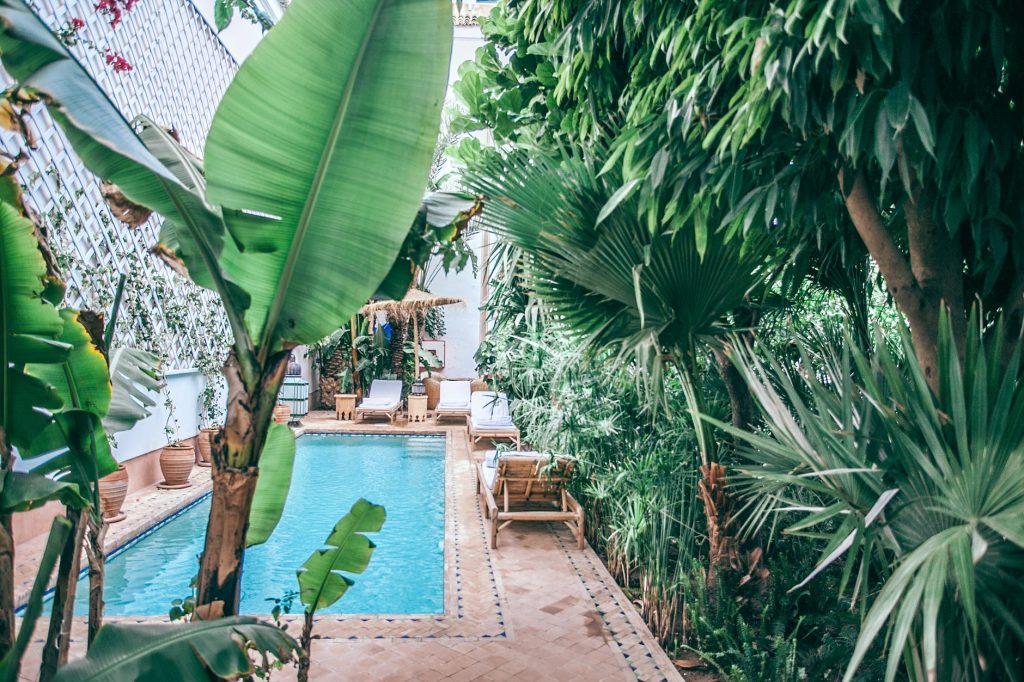exotic plants growing in patio at resort