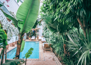 exotic plants growing in patio at resort