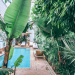 exotic plants growing in patio at resort