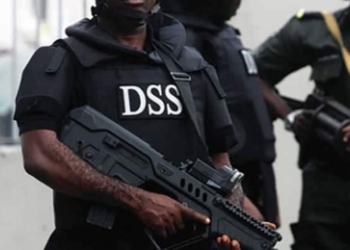 DSS alerts Nigerians of evil plots to attack public places during yuletide