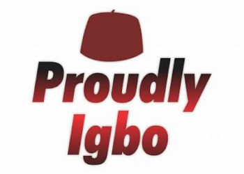 2023: Call for Igbo presidency gets more support
