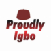 2023: Call for Igbo presidency gets more support