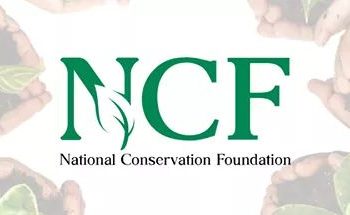 Nigerian Conservation Foundation trains, empowers 240 persons on alternative livelihoods in Edo
