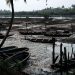 Environmental degradation: Activist demands better deal for Niger Delta