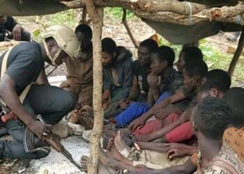 Troops kill bandits, rescue 10 hostages in Kaduna