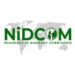 Nigerians illegally in UAE awaiting deportation: NIDCOM boss advises against media blackmail