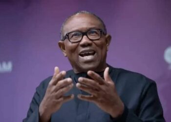 Niger Delta ex-militants, ethnic nationalities endorse Peter Obi