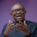 Niger Delta ex-militants, ethnic nationalities endorse Peter Obi
