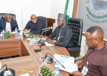 Ndiomu, vocational training vendors parley at PAP valedictory event