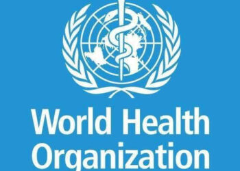 How to contain Lassa fever – Edo State Govt