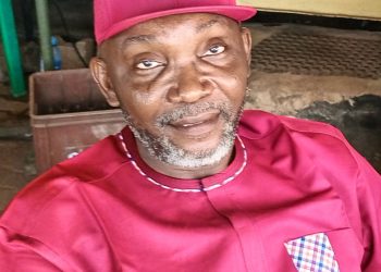 Suspended LP national chairman is a rogue politician, says governorship hopeful