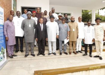 PAP: Ex-agitators urge Tinubu to retain Ndiomu