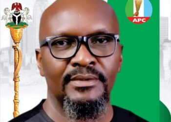 Edo 2024: My plans for Edo State – APC chieftain