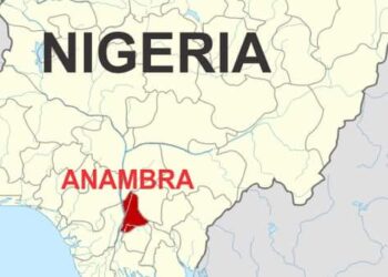 Domestic worker kills employer with pestle in Anambra