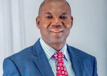Don’t leave everything for govt – NASS member pleads