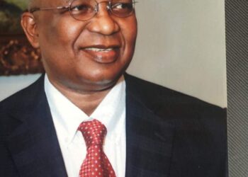 Edo 2024: The choice of Ogiemwonyi as a credible candidate