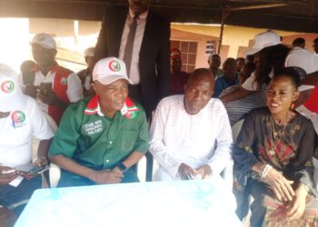 Edo 2024: Reject greenhorns in politics – Imansuangbon appeals to LP leaders