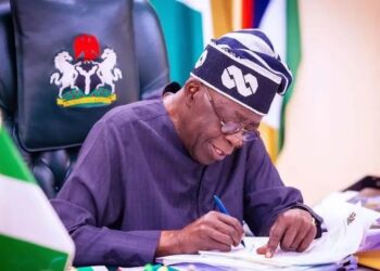 Tinubu establishes special presidential panel on social investment programmes