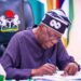 Tinubu establishes special presidential panel on social investment programmes