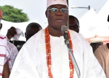 I will flush undesirable elements out of Yoruba land in six months – Gani Adams