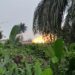 ERA/FoEN decries Shell reigniting of flares in Gbarantoru