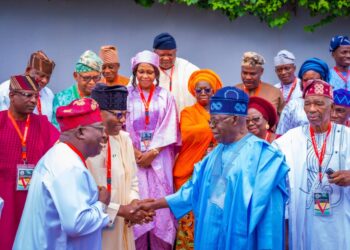 Effective local govt administration critical to development – Tinubu