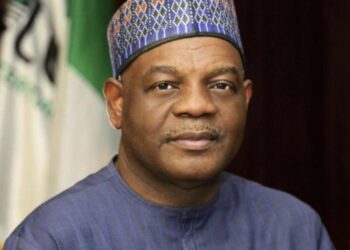 Unsong hero: Tale of the TETFund boss