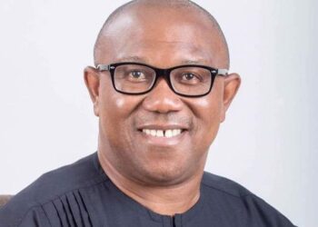 Peter Obi more interested in political expediency