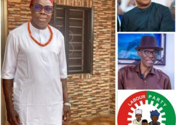 Activist drags Peter Obi, says he never had the interest of LP at heart