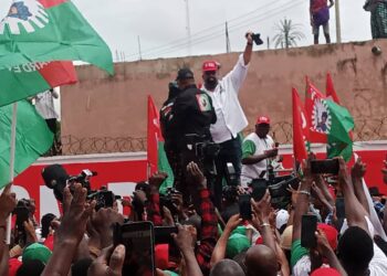 Obi, Akpata want Oba of Benin to champion free, fair election in Nigeria