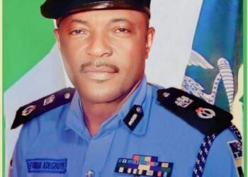 Olu Martins, PDP Campaign spokesman to appear in court over inciting comment, says Police