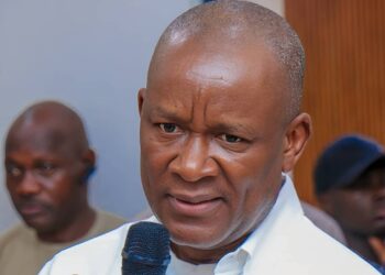 Aftermath of Nigeria’s poor outing in 2024 Olympics: Sports Minister advocates for review of federations’ constitutions