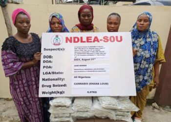 NDLEA arrests five female drug traffickers at Seme border