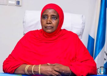 NAPTIP boss promises to minimize human trafficking