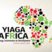 Yiaga Africa scores Edo guber poll low