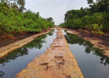 Crude oil spills in Ogboinbiri, Bayelsa now a routine – EDEN alerts
