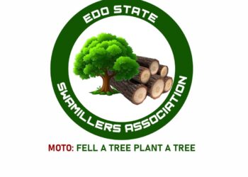 Sawmillers refute claims of illegal logging and security threats at Okomu National Park