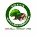 Sawmillers refute claims of illegal logging and security threats at Okomu National Park
