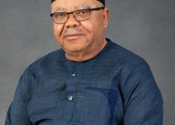 Global Esan Summit discusses people’s future
