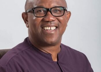 Peter Obi can’t lead Nigeria  —  LP factional chairman says as he dumps party