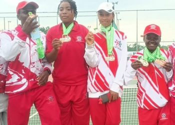 Sports development cannot be left to the govt alone, says Edo Sports Commission boss