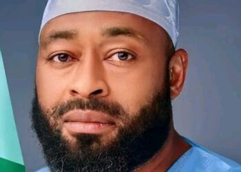 Bago lauds Tinubu over arrest of Mamuda terror group leader