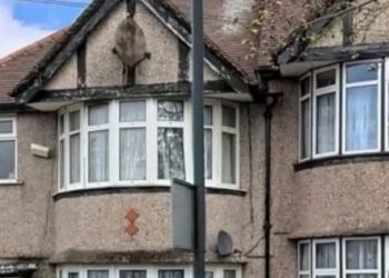 Triangular deceit: Jerry Useni caught in a web of forgery, fake deaths, false names in UK property case…Shani, Ozekhome angle