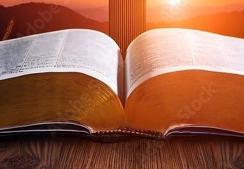 Boko Haram reduced our 176 churches to 28 – Gwoza Community in Borno insists on christian genocide