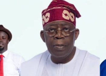 NIDSUG praises FG, REA over solar plant projects in Niger Delta schools
