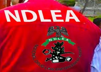China-based businessman, 2 Angolans caught with 236 cocaine wraps
