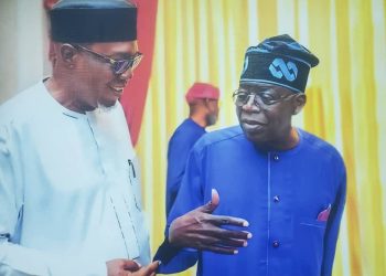 Prof. Julius Ihonvbere is a God sent to all Owan Nation, says constituent