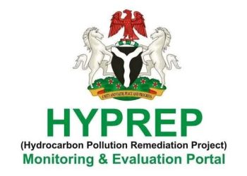 FOI Act Enforcement: Court grants leave to sue HYPREP contractor over Ogoniland cleanup funds