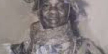 Chief Humphrey Omo-Osagie (B2): The political lion of Benin
